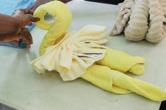Yellow Swan